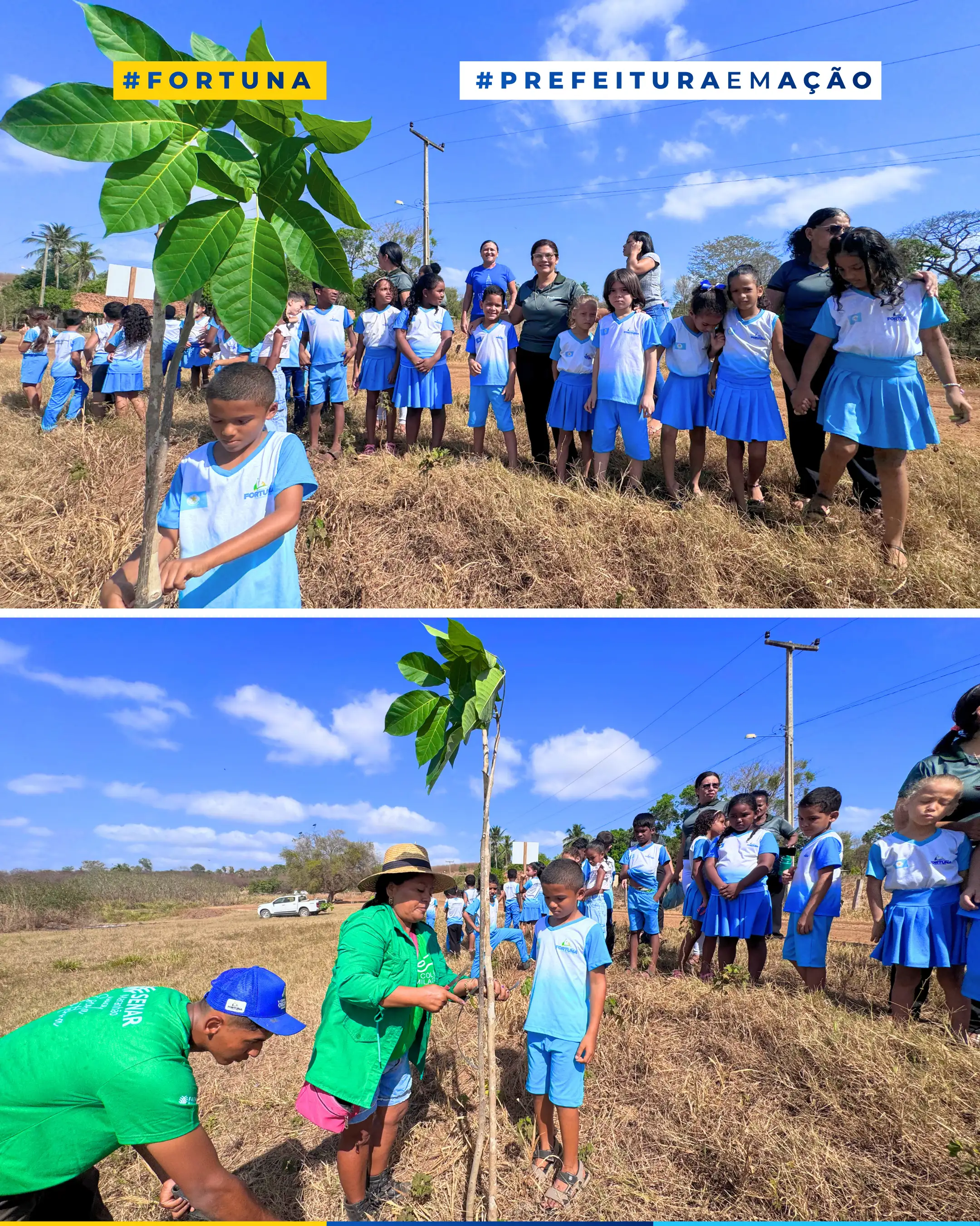 Foto 1 – PREFEITURA DE FORTUNA REALIZA AÇÃO DE PLANTIO DE ÁRVORES NA MARGEM DO AÇUDE DA RUA DA GLÓRIA